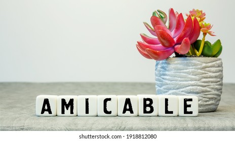 Soft cubes with the abbreviation AMICABLE with a flower on a white background - Shutterstock ID 1918812080