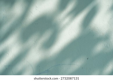 soft dappled light and shadow patterns on a textured pale blue surface