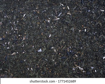 Soft Dark Rubber Bark Playground Mulch Texture Floor Background