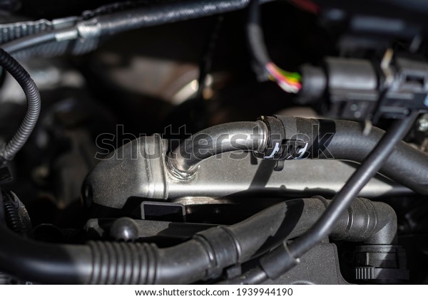 soft depth of\
field. Natural light. the car. Engine compartment. Metal tube for\
supplying liquid to the\
radiator.