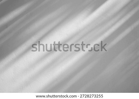 Soft Diagonal Window Shadows on Minimalist White Textured Wall Background