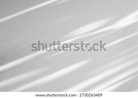 Soft Diagonal Window Shadows on Minimalist White Textured Wall Background