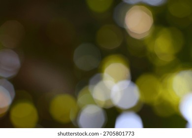 Soft diffused lights and outoffocus green foliage create a serene atmosphere and ethereal effect perfect for backgrounds and designs.