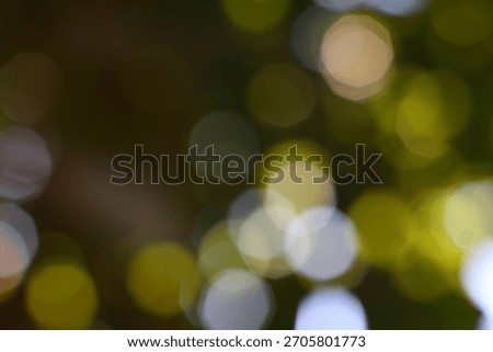 Soft diffused lights and outoffocus green foliage create a serene atmosphere and ethereal effect perfect for backgrounds and designs.