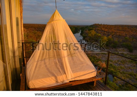 Image, Stock Photo Light net Tent of lights