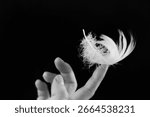 Soft feather balanced on human finger