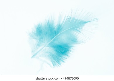 6,821 Emerald green feather Images, Stock Photos & Vectors | Shutterstock