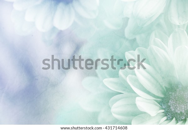 Soft Flower Background Can Be Use Stock Photo (Edit Now) 431714608