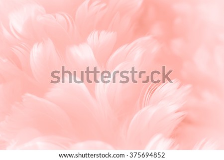Soft fluffy bird feather closeup - mauve pink and peach colored Valentine card backdrop - Fashion Color Trends Spring Summer 2016