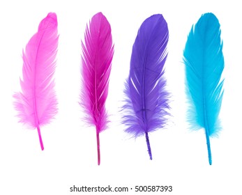 Soft Fluffy Bird Feather Isolated On White Background