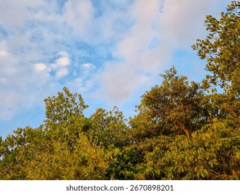 Soft fluffy clouds floating across a pastel blue sky during a peaceful afternoon sunset sky