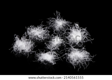 soft fluffy delicate white down feather on black background.