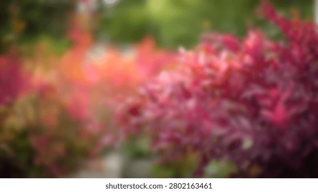 Soft focus abstract background featuring vibrant pink and red autumn leaves with green bokeh