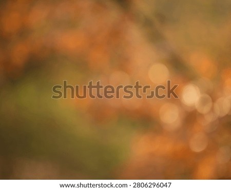 A soft focus abstract background featuring warm autumn colors and golden bokeh light circles