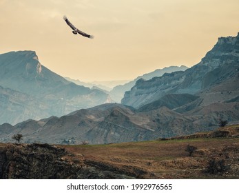 Soft focus. Atmospheric landscape with silhouettes of mountains on background of pink dawn sky. Eagle flies over a mountain gorge. Sundown in faded tones.