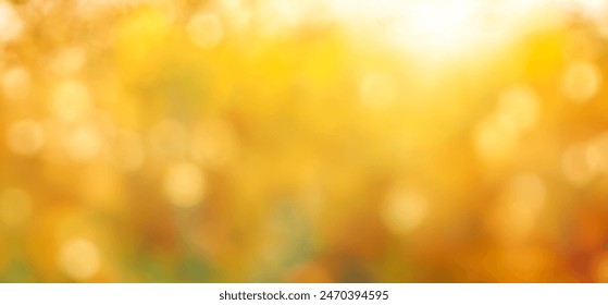 Yellow Warm Focus Theme