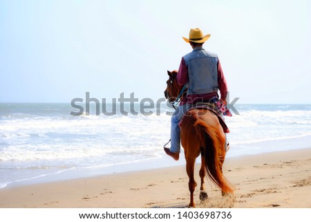 Soft focus and back view at jockey riding horse on the beach. Copy space cowboy ride brown horse and background with clear sky and blue sea. concept relax time and travel. holiday and summer season.