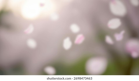 Soft focus background features delicate petals drifting through bright light