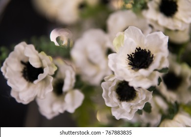 Soft focus background of white flowes with green stilks and blades.