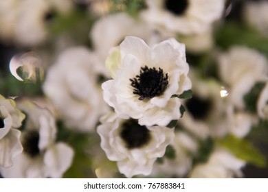 Soft focus background of white flowes with green stilks and blades.