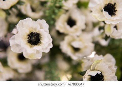 Soft focus background of white flowes with green stilks and blades.