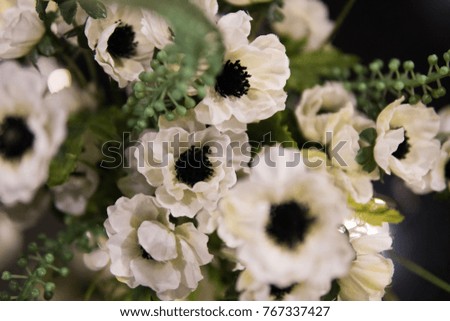 Soft focus background of white flowes with green stilks and blades.