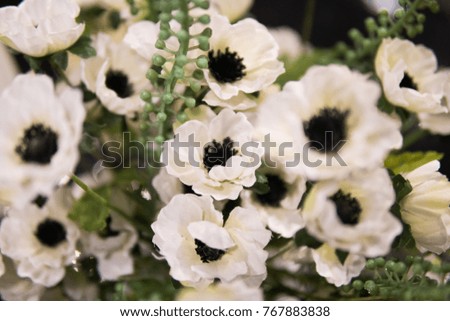 Soft focus background of white flowes with green stilks and blades.