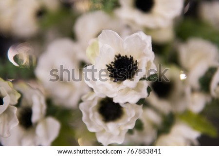 Soft focus background of white flowes with green stilks and blades.