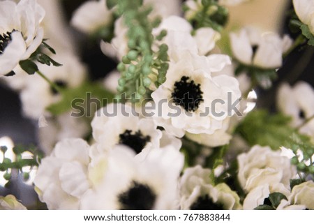 Soft focus background of white flowes with green stilks and blades.