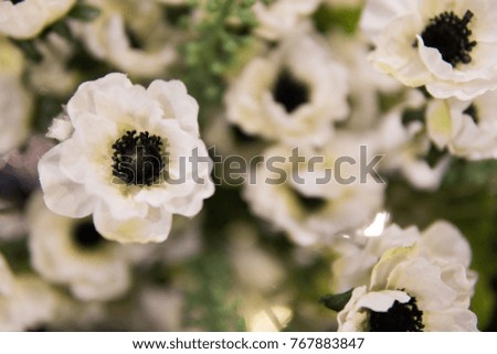 Soft focus background of white flowes with green stilks and blades.