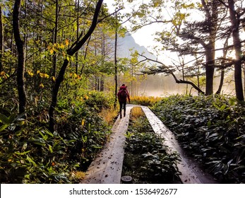 Soft focus of backpacker walking on trail path in the forest with mist in the morning