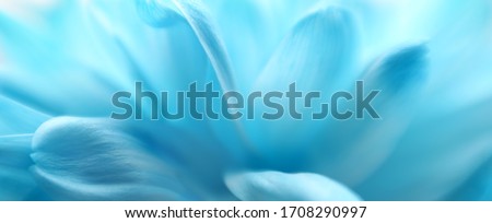 Soft focus blue flower horizontal background. Made with lens-baby and macro-lens.