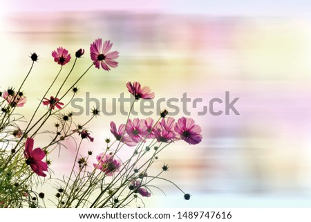 Similar – Image, Stock Photo teletom magenta