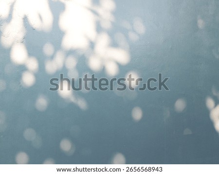 Soft focus bokeh background with shadows of leaves and a serene blue hue.