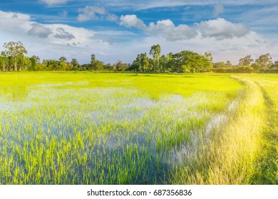 335 Earthen Dyke Images, Stock Photos & Vectors | Shutterstock