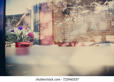 Soft focus of flower behind the window glass in vintage tone style.
