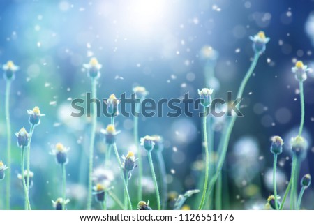 Similar – Image, Stock Photo Cool colours Environment