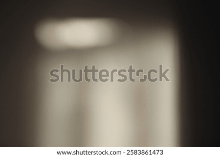 Soft focus gray grain texture black and white refraction wall . Light and shadow smoke abstract copy space background. 