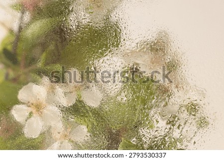 Soft focus green, beige leaf and flower bouquet through glass with wet water drops. Abstract natural blur background.