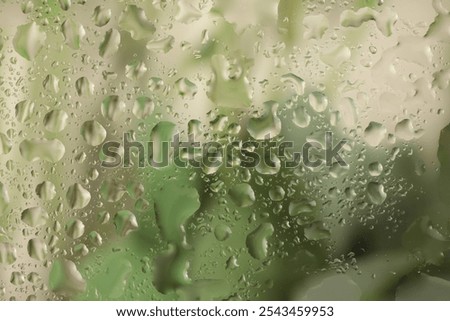 Soft focus  green grass through glass with water drops. Abstract nature blur background.