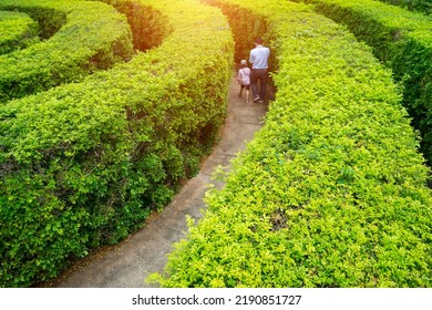 Soft focus of green plant maze wall with tourist.Labyrinth maze garden. A spiral movement build from the vine is creep and sticking on the wall with sunlight and isolated white background in the park. - Shutterstock ID 2190851727