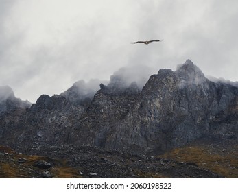Soft focus. Horror mountain shadows. Dramatic fog among giant rocky mountains. Ghostly atmospheric view to big cliff. Low clouds and beautiful rockies. Minimalist scenery mysterious place. - Powered by Shutterstock