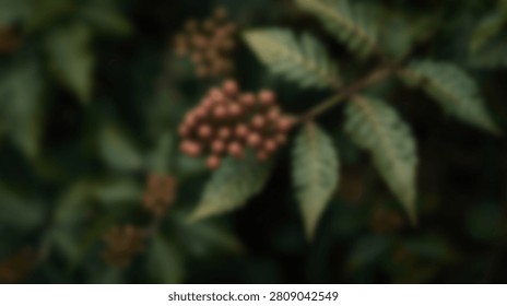 A soft focus image capturing the intricate details of green foliage with clusters of small red berries.