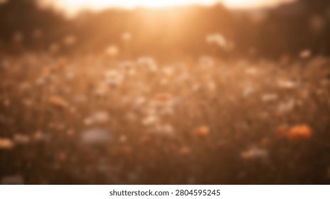 Soft focus image capturing the warm glow of golden hour sunlight filtering through a field of wildflowers, creating a serene and ethereal natural background.
