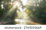 A soft focus image of sunlight filtering through green foliage, creating a beautiful and ethereal bokeh effect with bright, shimmering lights and a gentle, natural glow.