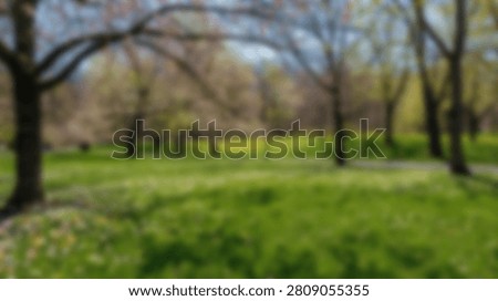 A soft focus, impressionistic view of a park in springtime, showcasing vibrant green grass and bare tree branches.