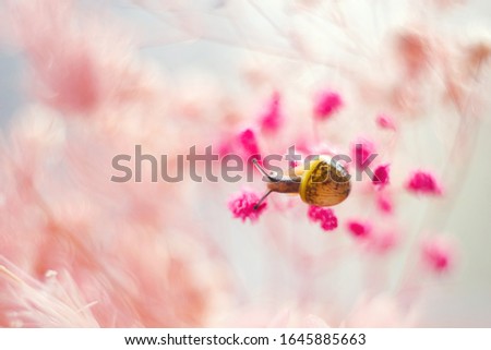 Similar – Image, Stock Photo droplet stamp Life Plant