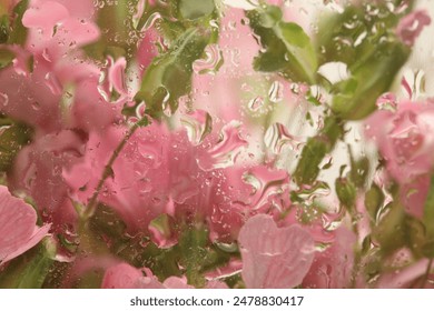 Soft focus pink flower bouquet through glass with water drops. Abstract Nature blur pink background. - Powered by Shutterstock