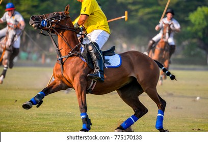 Soft focus the Polo player stop horse during the match.