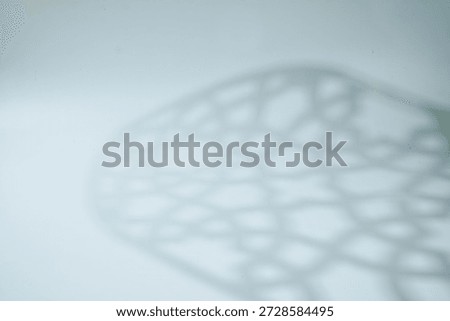 Soft focus rosette shadow on a mint-tinted light background with copy space